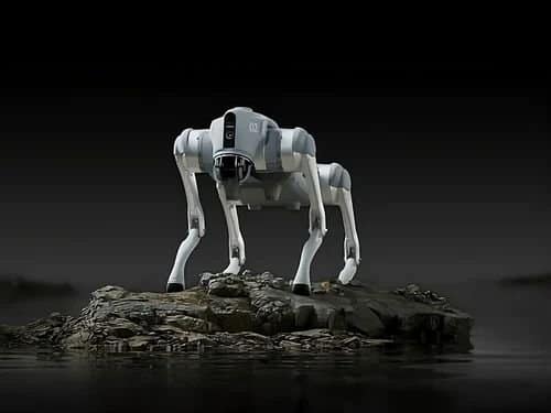 Wipro Showcases Unitree Go2 at India AI Impact Summit Amid Galgotias Robodog Controversy