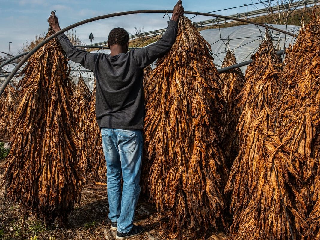 Odisha Government Imposes Complete Ban on Tobacco and Nicotine Products